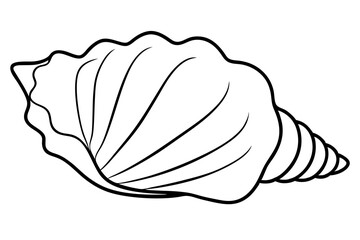 Fototapeta premium seashell silhouette line art vector illustration with a white background
