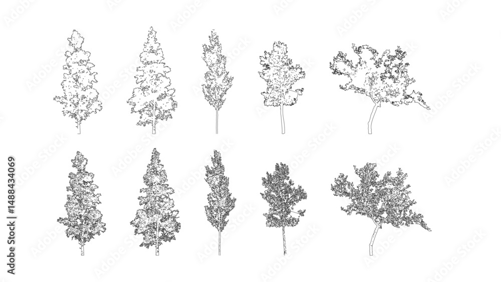 Poster Minimal style cad tree line drawing, Side view, set of graphics trees elements outline symbol for architecture and landscape design drawing. Vector illustration in stroke fill in white. Tropical