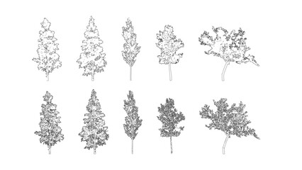 Plakat Minimal style cad tree line drawing, Side view, set of graphics trees elements outline symbol for architecture and landscape design drawing. Vector illustration in stroke fill in white. Tropical