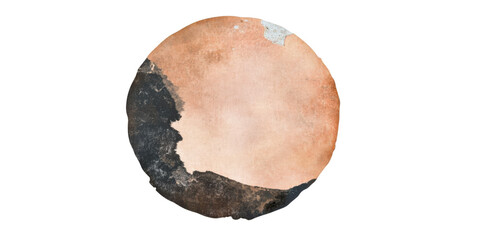 Oval hide skin texture, animal fur, old pelt surface, cut out transparent