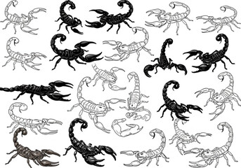 A Diverse Group of Scorpion Illustrations Displayed Across a Plain White Background Emphasizing the Unique Features and Different Poses