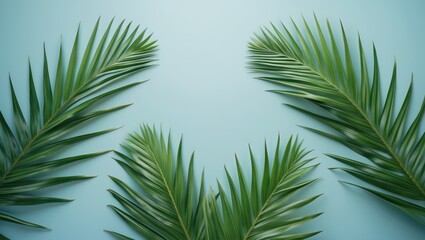 Flat Lay Summer Composition Featuring Palm Leaves - Top View, Copy Space