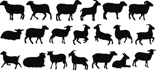 Set of sheep silhouettes in various poses, ideal for farm logos, livestock graphics, educational materials, and rural decor. High-quality black vector outlines of sheep, lambs, and wool animals.