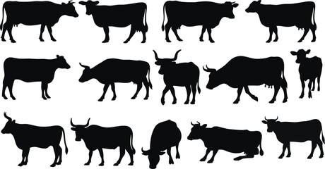 Set of cow silhouettes in various poses, perfect for farm logos, agriculture designs, educational materials, and decor. High-quality black vector outline of dairy and livestock cow illustrations.