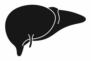 liver silhouette line art vector illustration with a white background