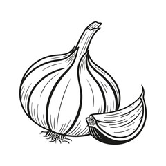 Organic Healthy garlic herb vector retro art silhouette