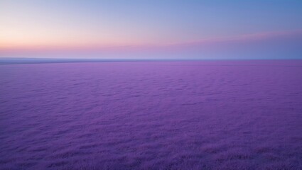Purple scenery in a natural flat landscape