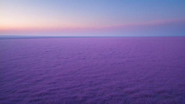 Purple scenery in a natural flat landscape