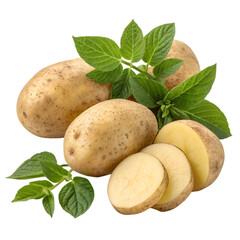 Potatoes with leaves on a transparent background