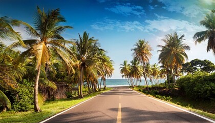 Fototapeta premium road in the tropics among palm trees and the sea