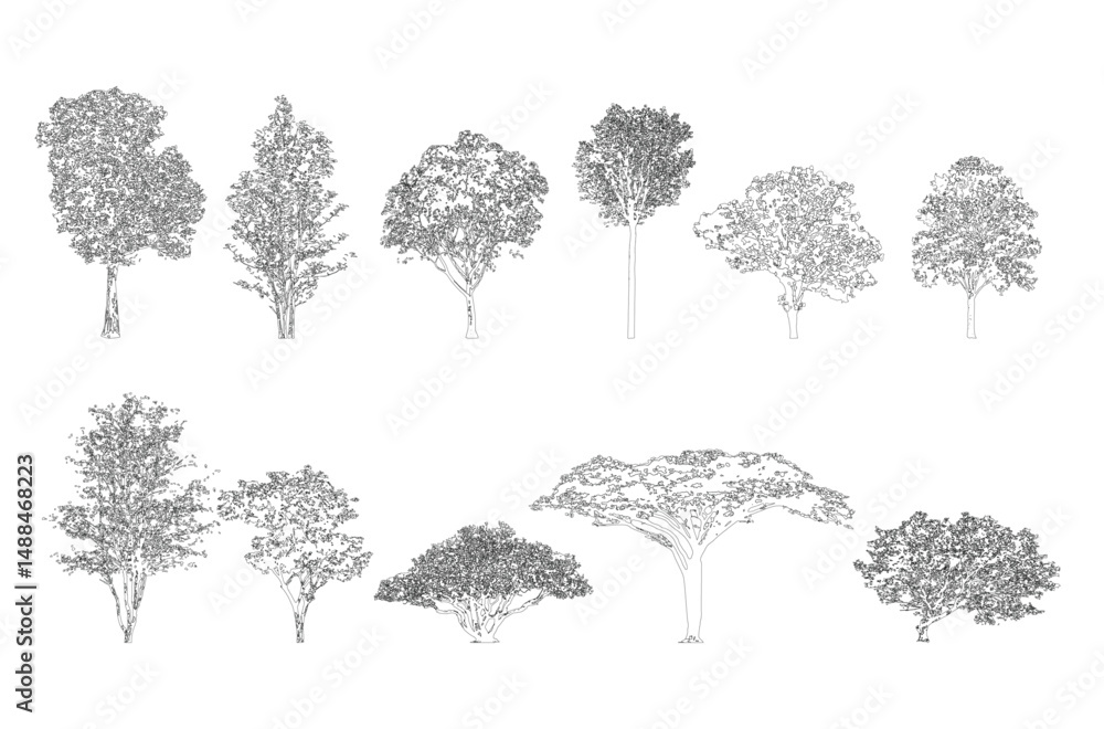 Leinwandbilder Minimal style cad tree line drawing, Side view, set of graphics trees elements outline symbol for architecture and landscape design drawing. Vector illustration in stroke fill in white. Tropical