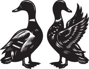 High quality black vector beautiful Duck