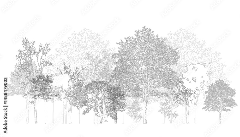 Poster architectural drawings, minimal style cad tree line drawing, side view, set of section wetland fores