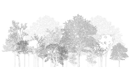 Architectural Drawings, Minimal style cad tree line drawing, Side view, set of section wetland forest outline for landscape design drawing. Vector illustration in seperate element