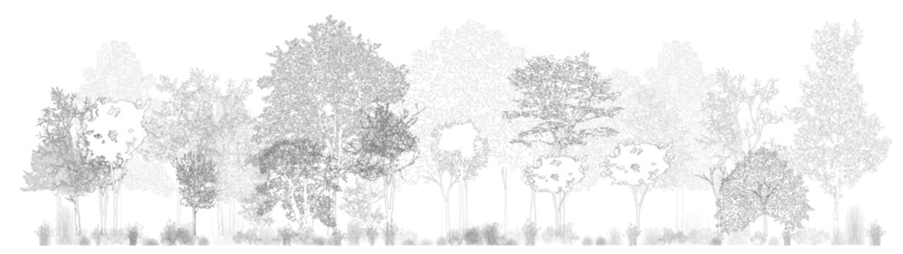 Architectural Drawings, Minimal style cad tree line drawing, Side view, set of section wetland forest outline for landscape design drawing. Vector illustration in seperate element
