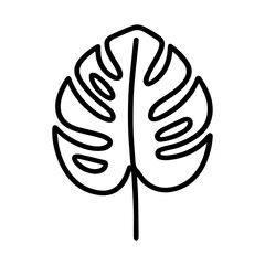 Monstera leaf icon on white background vector
Vector icon plants and flowers
