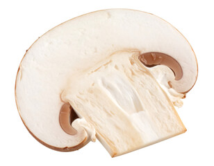 Sliced mushroom showing gills isolated on transparent background