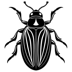 Black and White Stylized Beetle Illustration Vector Graphic