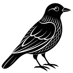 Black and White Stylized Bird Illustration Graphic Design