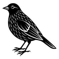 Black and White Illustration of a Small Bird