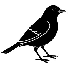 Simple Black Silhouette of a Small Bird Illustration