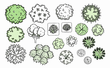 Top View Tree Collection: Landscape Design Elements