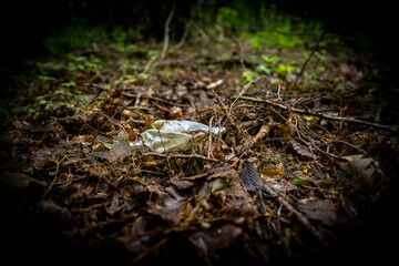close-up trash, pet non-degradable thrown in the forest, recycling, protect nature, ecology