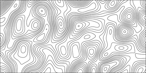 Fototapeta premium Abstract seamless topographic pattern made of thin gray contour lines on a white background. Elevation mapping, with smooth, irregular, organic shapes and concentric line terrain or fluid motion.