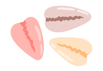 Sea shell. Ocean exotic underwater seashell sticker. Hand drawn vector illustration isolated on white background