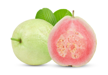 guava isolated on transparent png