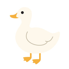 Cute duck. perfect for children's books, nature blogs, farm branding, zoo pamphlets, and wildlife posters