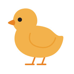 Cute yellow chick suitable for Easter, spring, new beginnings, farm related themes, and educational materials featuring baby animals