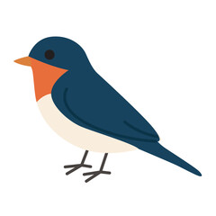 Cute swallow bird. suitable for nature themed designs, bird watching guides, wildlife illustrations, and greeting cards.