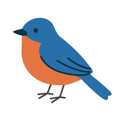 Cute bluebird with vibrant orange underparts, perfect for nature designs, greeting cards, birdwatching enthusiasts, and wildlife conservation promotions