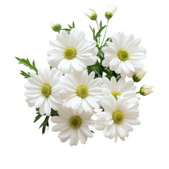 Fototapeta premium Bunch of white flowers with green leaves arranged on a white background for a fresh and vibrant look, bunch white flowers with green leaves on a white background