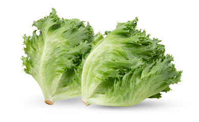 Frillice Iceberg Lettuce on transparent png