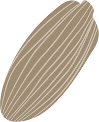 stylized cardamom, fruit and seed, spice and flavor