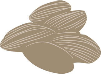 stylized Senna, food and beverage, herbal medicine