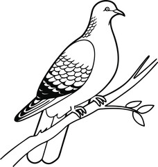 Obraz premium Line Art Pigeon Sitting on Tree Branch Illustration