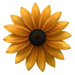 Black Eyed Susan Flower Vector Art Photo