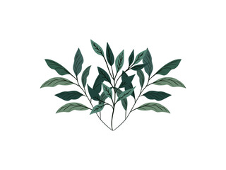 Hand-drawn green plants and layered leaves on white, with delicate pencil strokes and vintage botanical style, creating a minimal