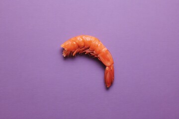 Shrimp on a lilac background close