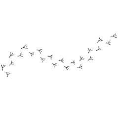 bird tracks,chicken tracks icon,vector illustration	