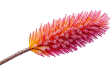 The vibrant dance of a colorful duster catching light like a sunset promise perfect for a on transparent background