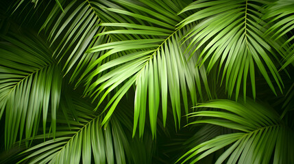 Lush Green Palm Leaves Background Ideal for Natural Themed Designs