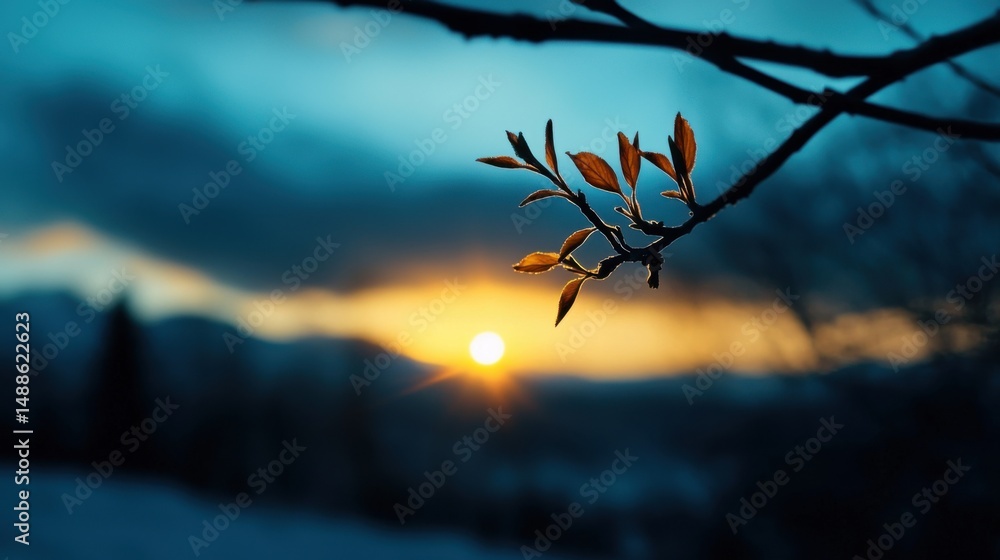 Aufkleber a leaf is hanging from a tree branch and the sun is setting in the background