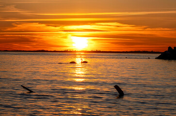 Sonnenuntergang an der Ostsee bei Lohme, Rügen, Mecklenburg-Vorpommern, Deutschland