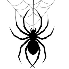 Spider hanging from web silhouette vector illustration