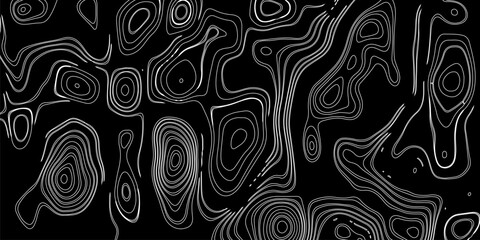 Abstract digital artwork featuring intricate topographic contour lines in fine detail, flowing smoothly and organically across a pure black background. 