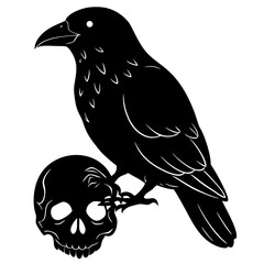 Crow sitting on skull  silhouette vector illustration